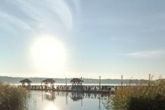 6015096686277413770.1